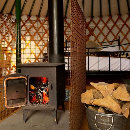 Hotel Caalm Camp Stour Provost Zewnętrze zdjęcie